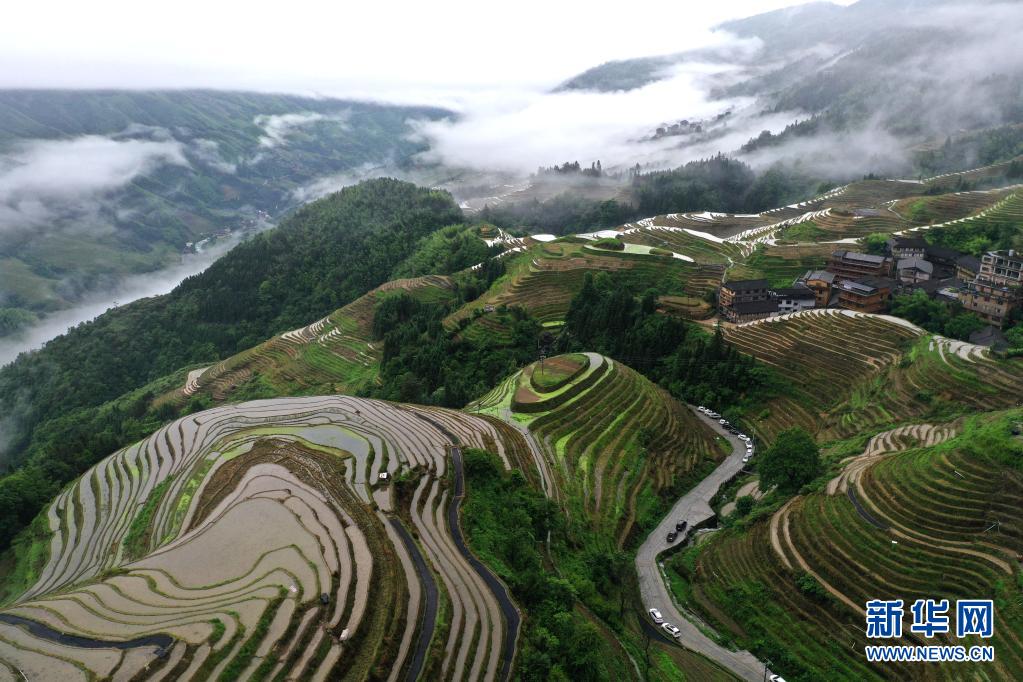 广西龙胜：烟雨龙脊景色美