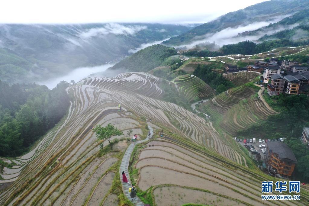 广西龙胜：烟雨龙脊景色美