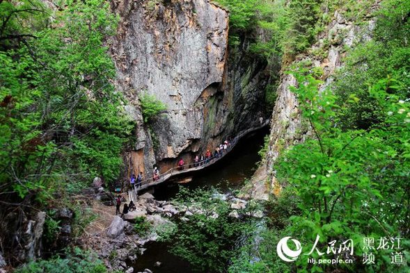 “森林遊+”賦能“綠水青山” 今夏來龍江體驗涼爽“林”距離