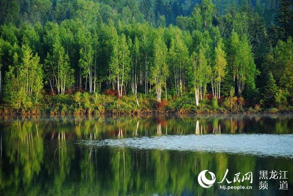 “森林遊+”賦能“綠水青山” 今夏來龍江體驗涼爽“林”距離