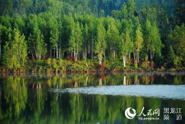 “森林游+”赋能“绿水青山” 今夏来龙江体验凉爽“林”距离