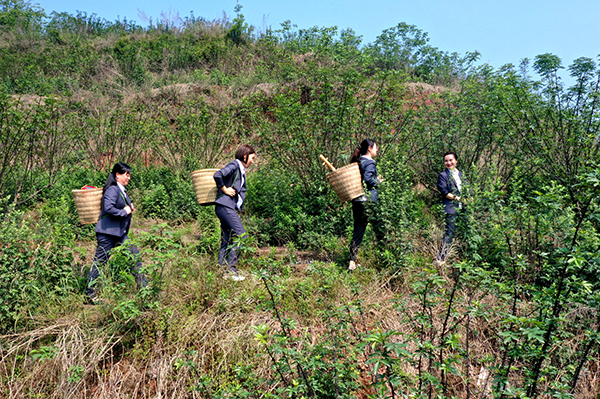 眉山仁寿：小背篼里装大爱 “送教上门”暖人心_fororder_“背篼老师”行走在路上-摄影-潘建勇