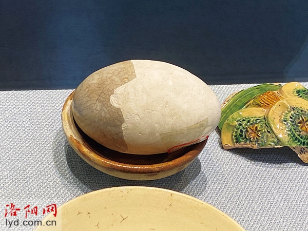 洛阳古瓷标本博物馆：拾出来的博物馆
