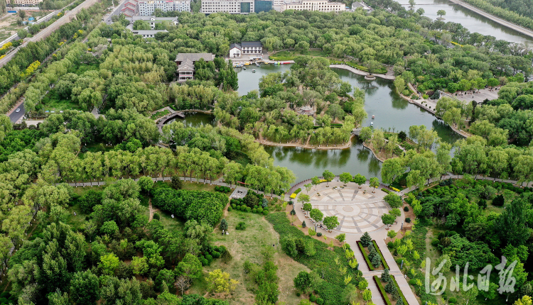 河北宣化：“萬柳盛景”今在萬柳公園