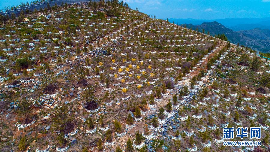 河北涉县：太行“伤疤”恢复绿色生机