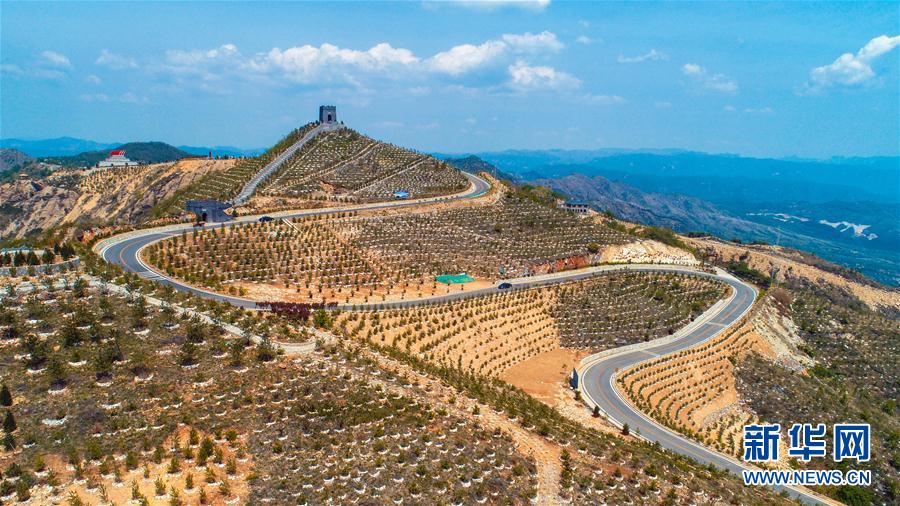 河北涉县：太行“伤疤”恢复绿色生机