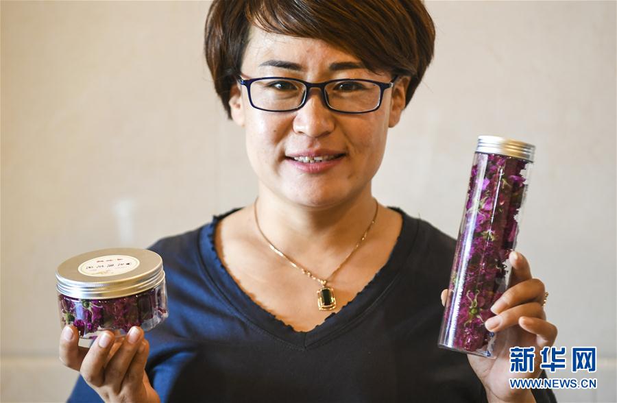 河北阜城：“鲜花经济”促增收