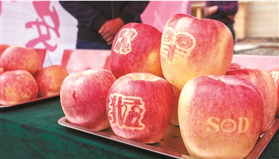 第十三届河洛金秋上戈苹果文化节持续至本月底