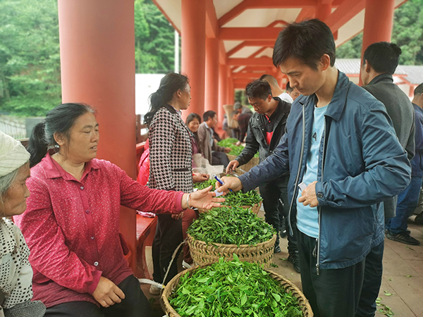 眉山丹棱：茶叶市场交易旺 助农增收产业旺_fororder_茶农与茶叶收购商正在进行茶叶交易-摄影-程欢悦