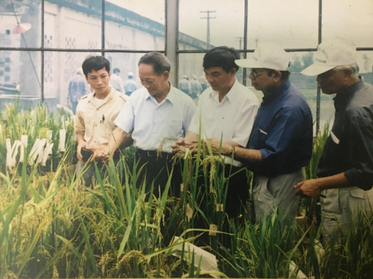 多一份温饱少一分饥饿 谁能轻易忘怀——越南农业界人士沉痛悼念袁隆平_fororder_图01袁隆平院士（左二）于2001年在越南河内出席国际杂交水稻学术研讨会时与阮伯胜（左一）及其他越南农业科学工作人员交谈