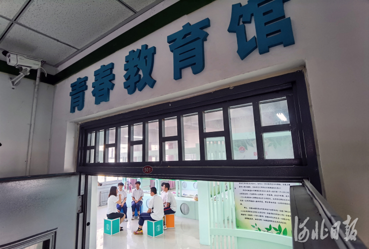 河北省心理健康服务中心在石家庄成立