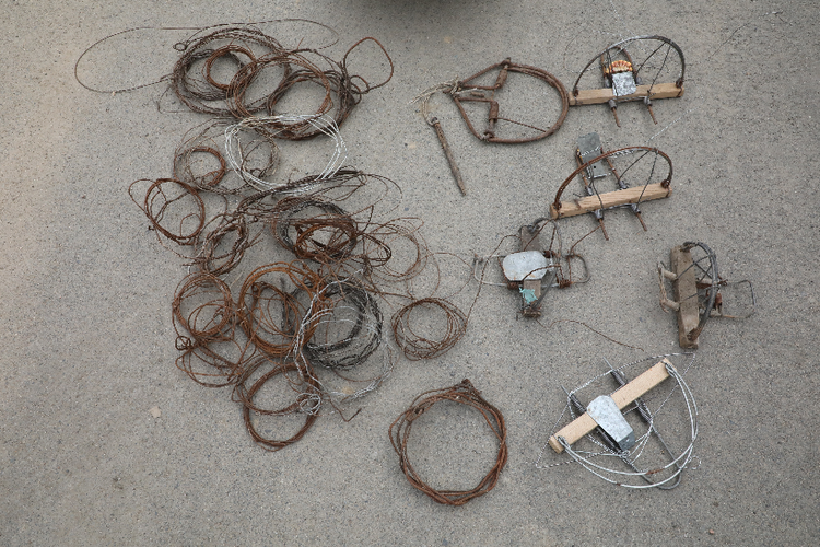 吉林省森林公安局白石山森林公安分局破获特大非法狩猎案