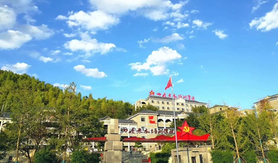 县域经济高质量发展  贵州习水“数”中有“术”