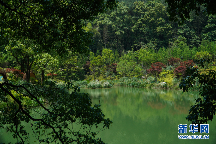 【城市遠洋帶圖】重慶：生態修復助力我國“藻類基因寶庫”美麗蝶變