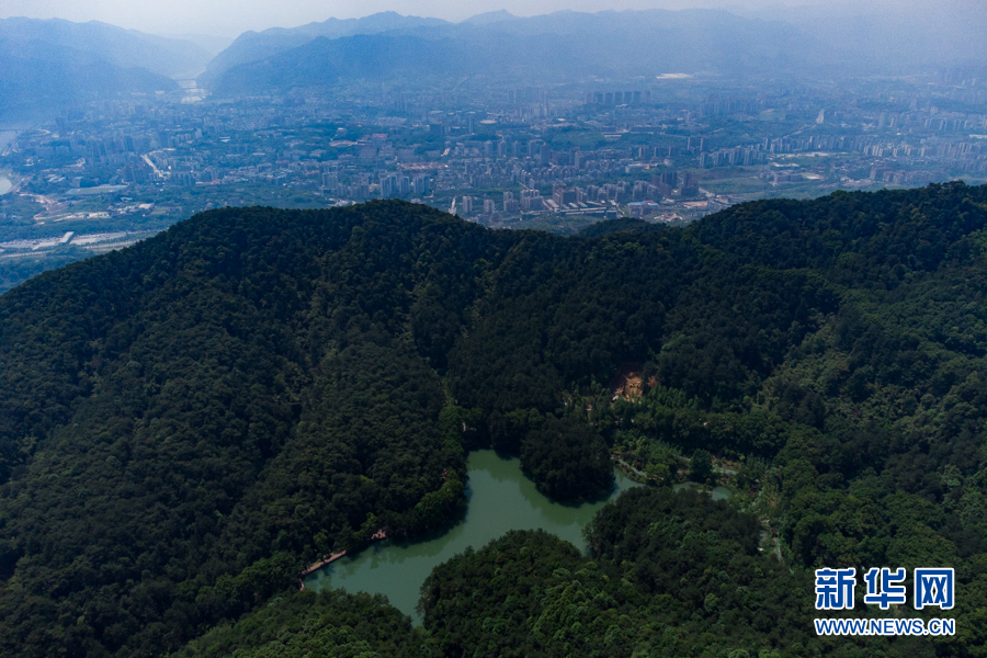 【城市远洋带图】重庆：生态修复助力我国“藻类基因宝库”美丽蝶变
