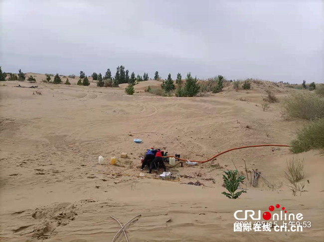 中国库布齐沙漠的10秒快速植树法_fororder_2