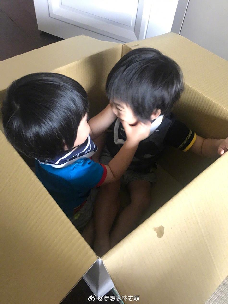 林志颖双胞胎儿子躲纸箱玩闹 捏脸蛋亲亲笑眯了眼