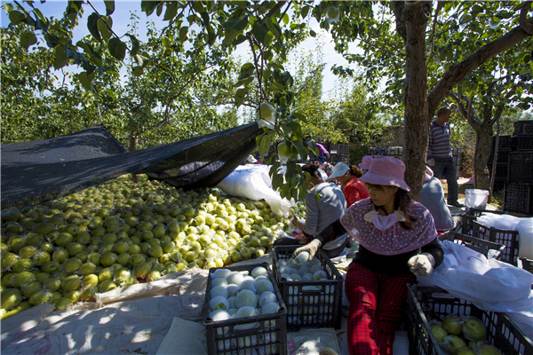 臨汾市隰縣舉辦線上“春意‘隰’來”節會