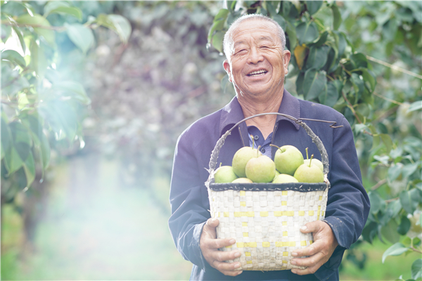 臨汾市隰縣舉辦線上“春意‘隰’來”節會