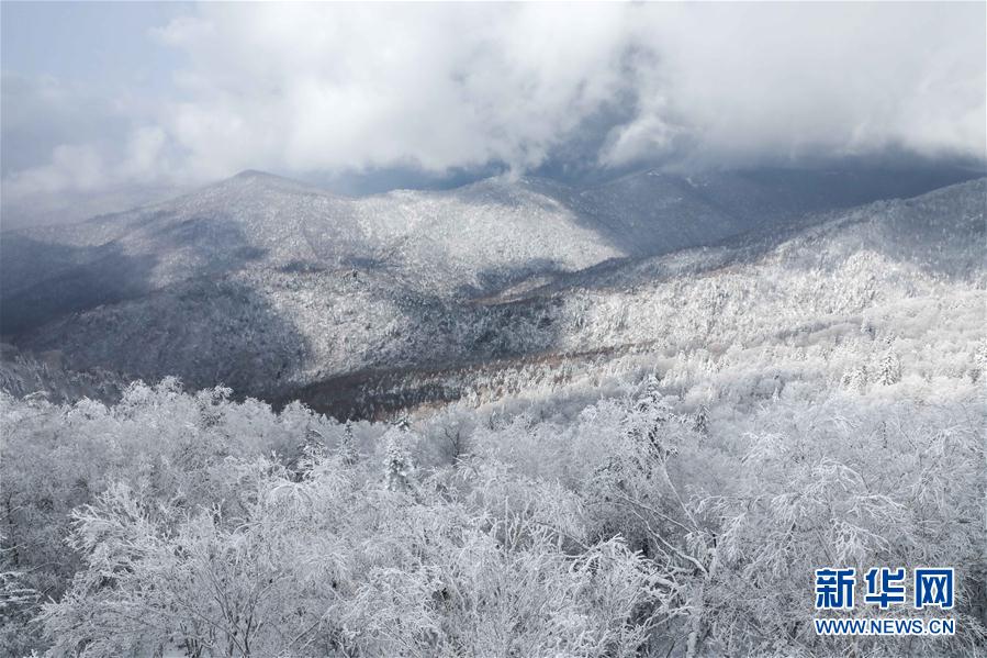 牡丹江市雪染层林