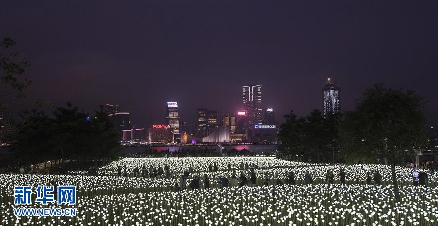 香港玫瑰燈海點亮維港