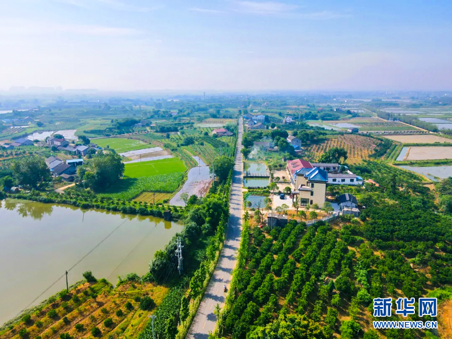 “四好农村路”串起乡村夏日美景