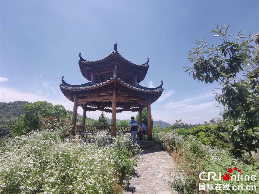 麻城森林乡村美如画_fororder_微信图片_20210608094955