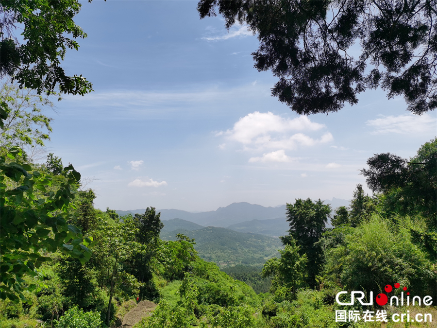 麻城森林乡村美如画_fororder_微信图片_20210608095026