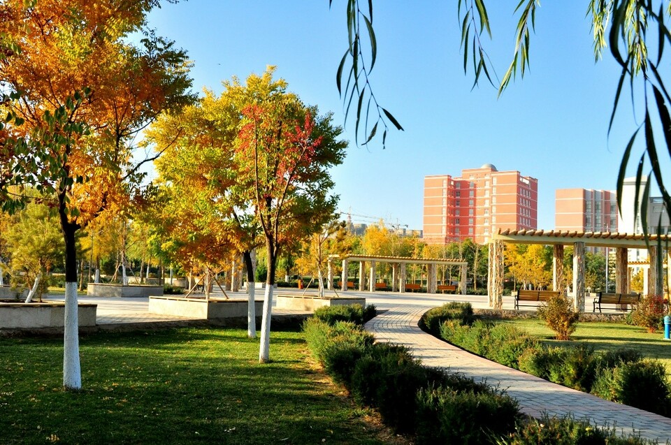 2021高招进行时丨河西学院：64个本科10个医学专科计划招生5000人 新增两专业_fororder_1