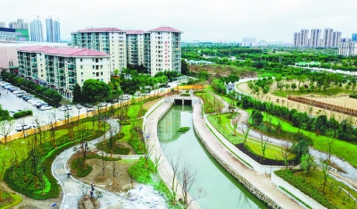 （公益圖文）南京南站旁黑臭河道經整治變生態綠廊