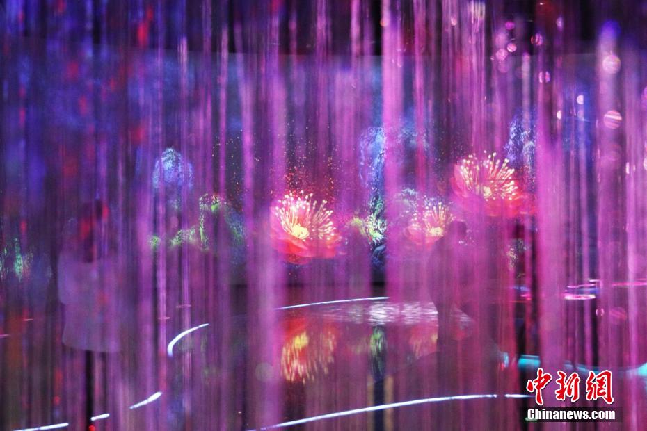 没入型体験で一風変わった楽しさ味わう花博会_fororder_FOREIGN202105241507000129013602882