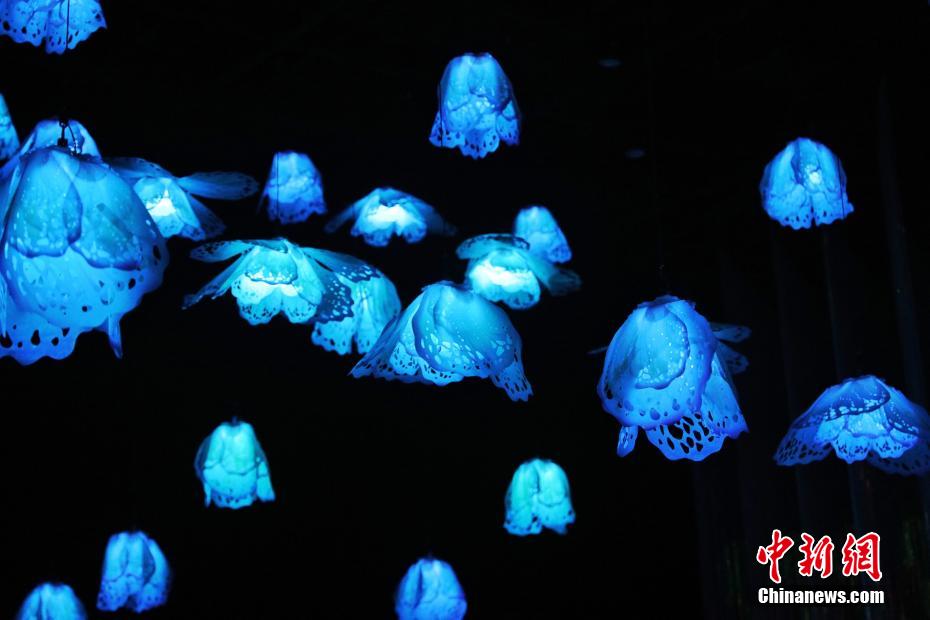 没入型体験で一風変わった楽しさ味わう花博会_fororder_FOREIGN202105241507000128514829486