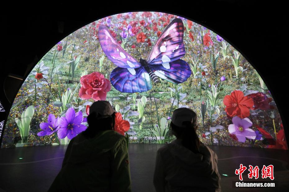 没入型体験で一風変わった楽しさ味わう花博会_fororder_FOREIGN202105241507000128805305271