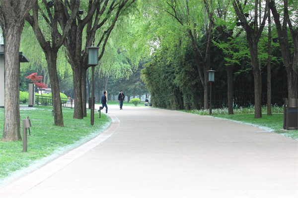 绿地公园，兜住简单的幸福_fororder_图片1