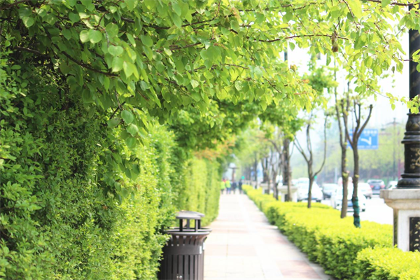 绿地公园，兜住简单的幸福_fororder_图片3