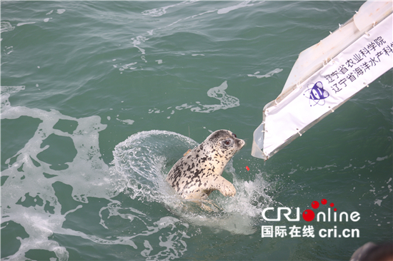 为了人类共同的蓝色家园——中国多措并举保护海洋生物多样性_fororder___172.100.100.3_temp_9500031_1_9500031_1_1_855713f2-7fb5-447b-9018-b62ab859b1ce