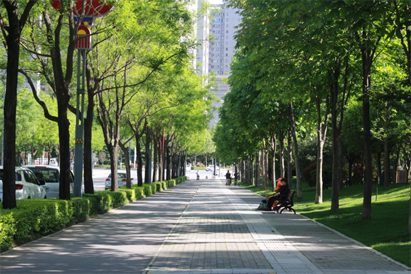 绿地公园，兜住简单的幸福_fororder_图片4