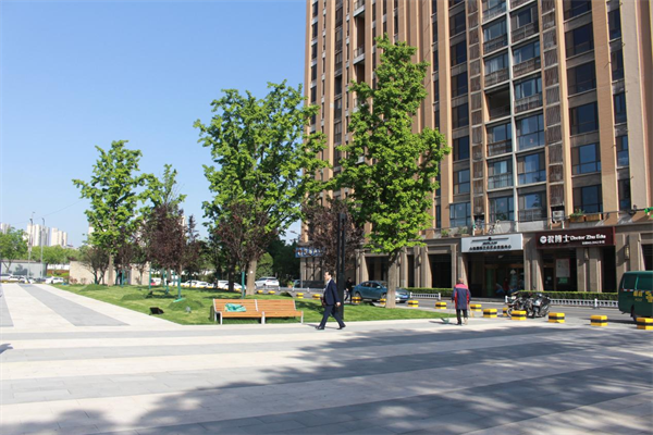 绿地公园，兜住简单的幸福_fororder_图片6