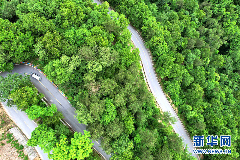 湖北保康：官山旅游路盘出大山致富路