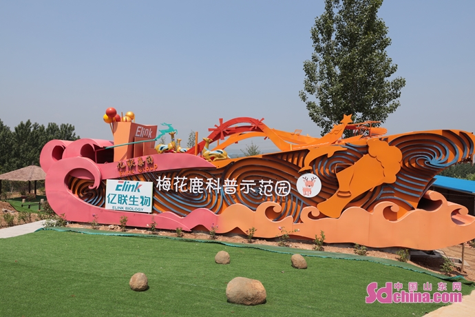 青岛：大山深处有了梅花鹿研学基地