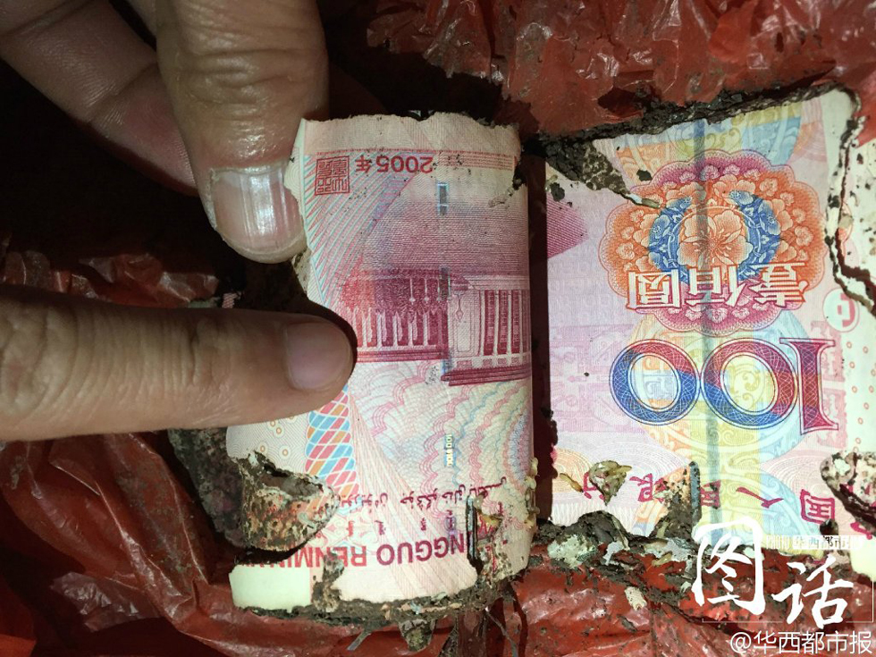 四川大爷两万现金埋地下 白蚁啃成钱渣渣(组图)