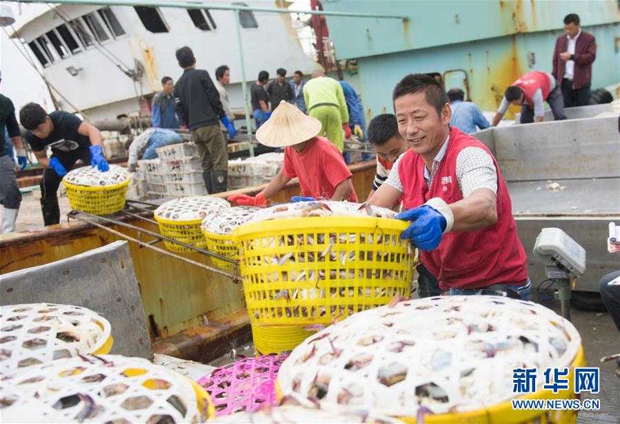 舟山助推傳統漁業轉型升級