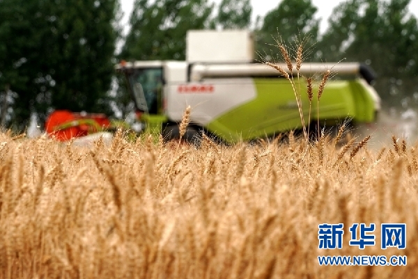 （奋斗百年路 启航新征程·神州巡礼）河南：扛稳农业“粮袋子” 挺起工业“新脊梁”