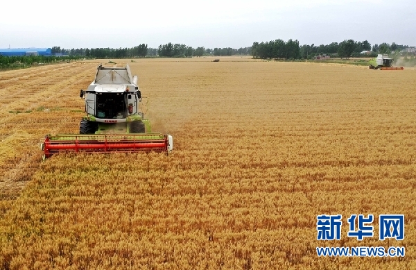 （奋斗百年路 启航新征程·神州巡礼）河南：扛稳农业“粮袋子” 挺起工业“新脊梁”