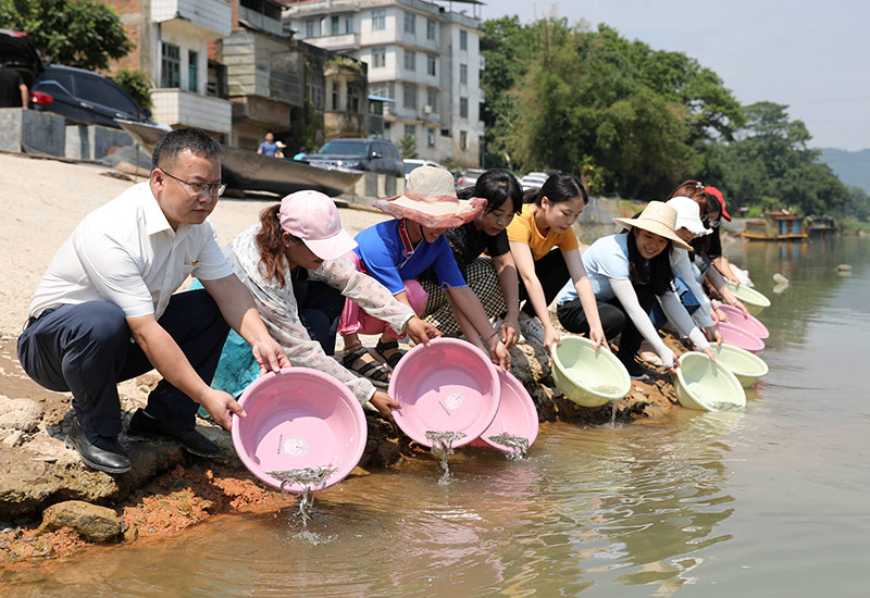 广西三江：增殖放流护生态