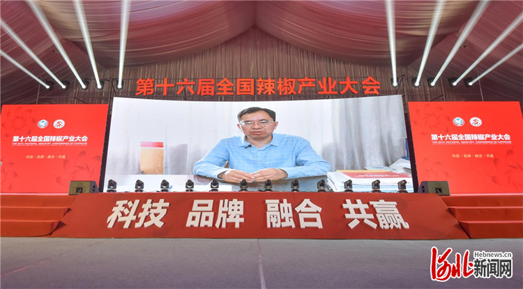 第十六屆全國辣椒産業大會在河北望都開幕