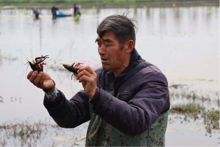 图片默认标题_fororder_2