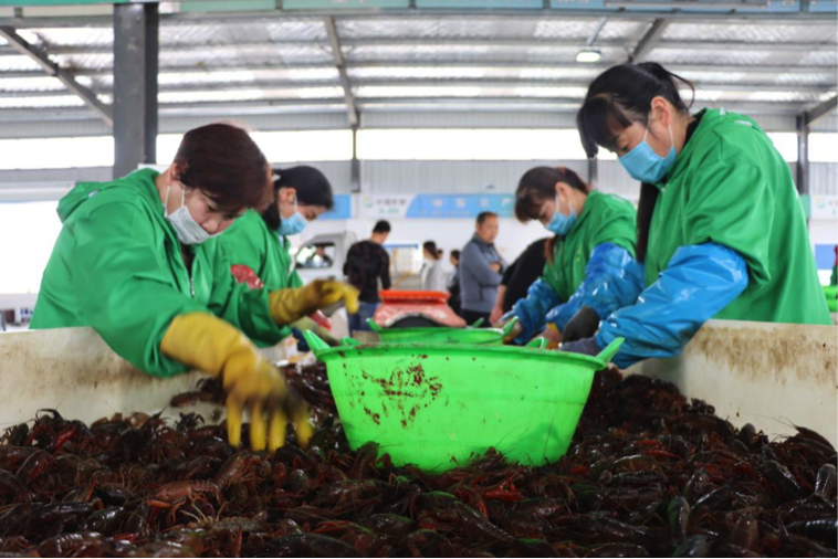 图片默认标题_fororder_3