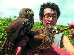 保护野生动物，就是保护人类自己（下）_fororder_timg