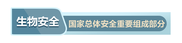 戰“疫”中，讀懂習近平總體國家安全觀的深意